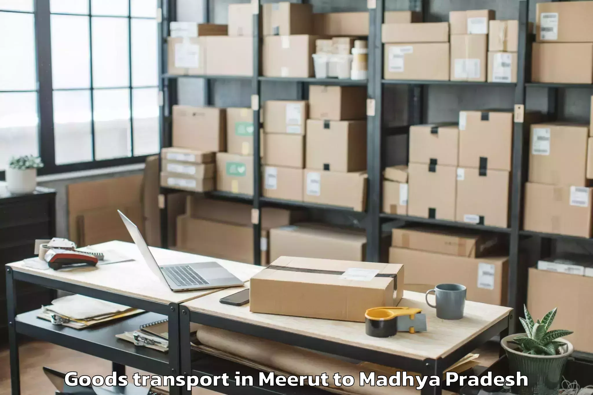 Reliable Meerut to Guna Airport Gux Goods Transport